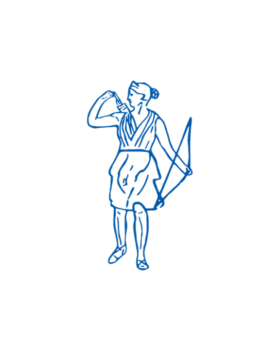 FinnDiane logo
